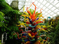 Fairchild Tropical Botanic Garden Travel Forum Reviews