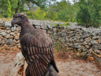 Falconry center Travel Forum Reviews