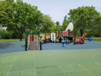 Falls Road Local Park Travel Forum Reviews