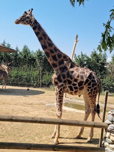 Faruk Yalçın Hayvanat Bahçesi ve Botanik Parkı