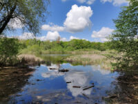Fauler See, Berlin-Weissensee Travel Forum Reviews