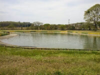 Federation Park Travel Forum Reviews