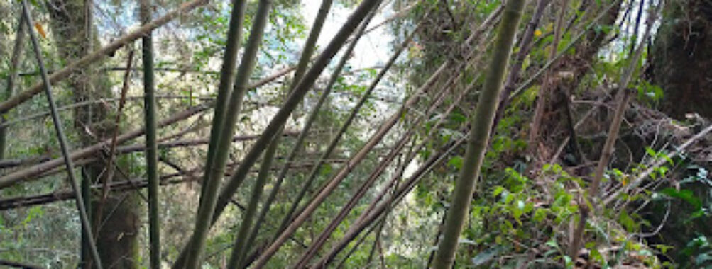 Fenrui Historic Trail Travel Forum Reviews