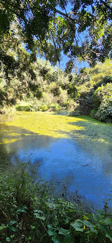 Ferncliffe Nature Reserve