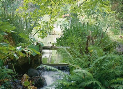 Lush greens at Fernside Lodge in Featherston
