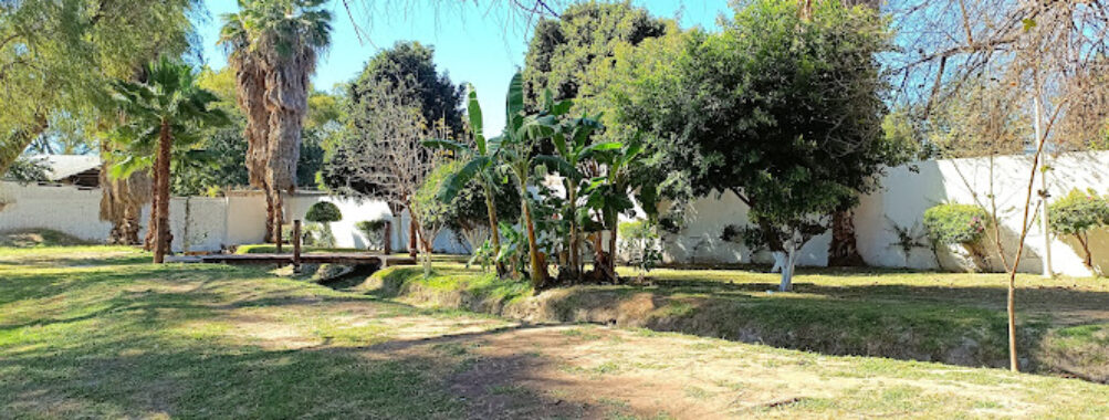 Ferrocarrilero Park Travel Forum Reviews