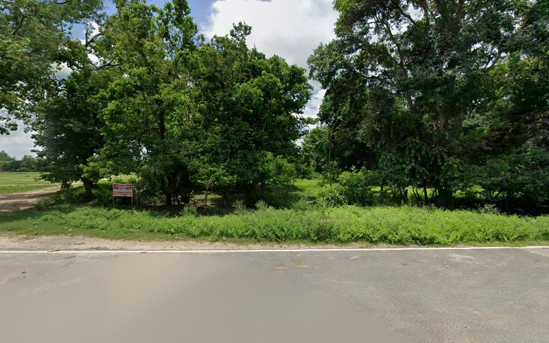 Fertilizer Rd