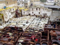 Fez sightseeing private tour Review