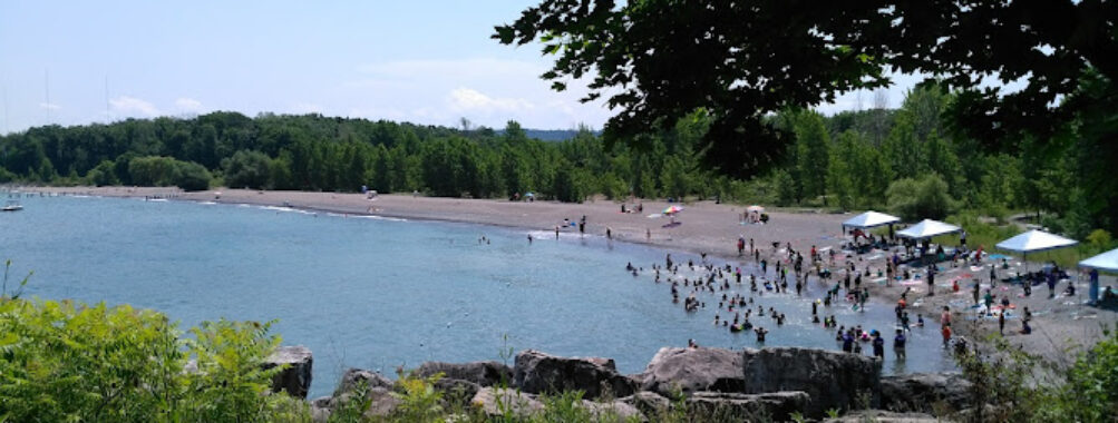 Fifty Point Conservation Area Travel Forum Reviews