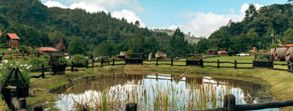 Finca El Espinero Travel Forum Reviews