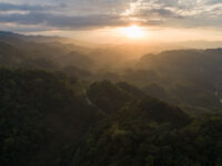 Finca Sacmoc Travel Forum Reviews