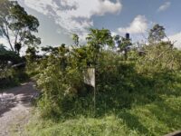 Finca familia Briceño Granda Travel Forum Reviews