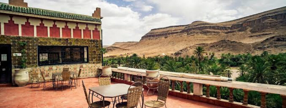 Fint Oasis Travel Forum Reviews