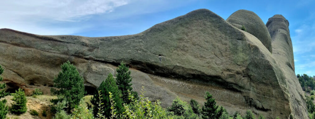 Fir of Drenova National Park Travel Forum Reviews