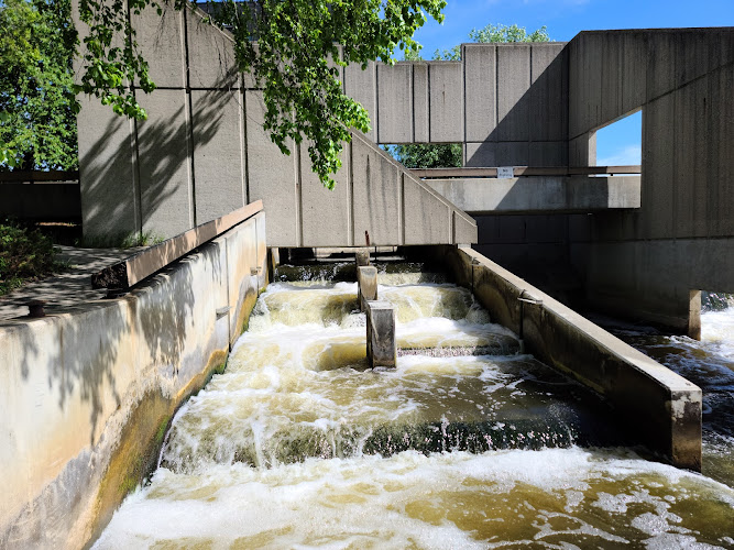 Fish Ladder Park
