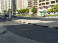Fish Roundabout Travel Forum Reviews