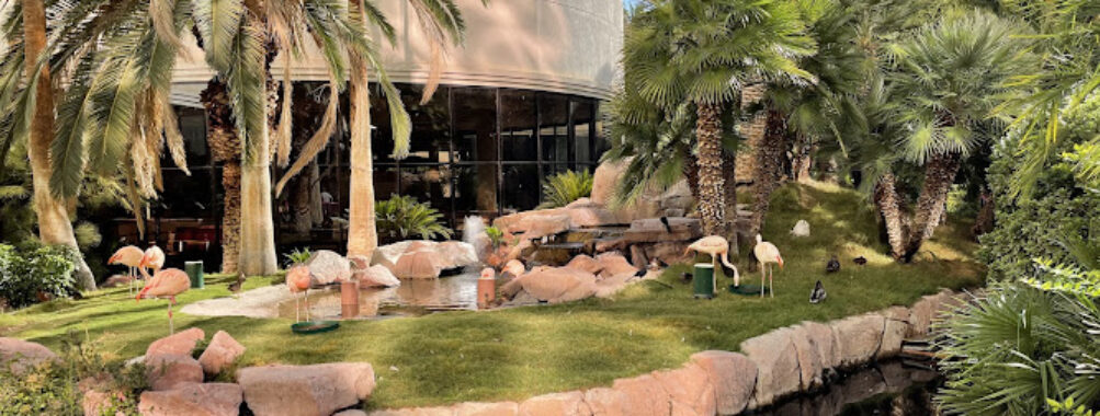 Flamingo Wildlife Habitat Travel Forum Reviews