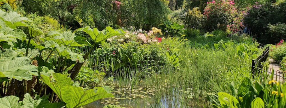 Fletcher Moss Botanical Gardens Travel Forum Reviews