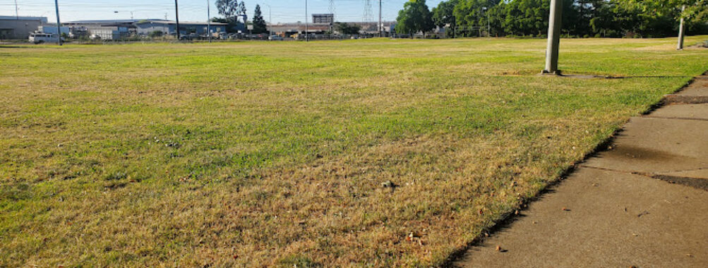 Florin Reservoir Park Travel Forum Reviews