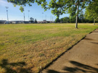 Florin Reservoir Park Travel Forum Reviews