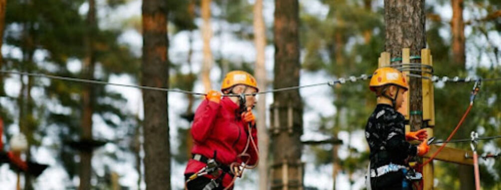 Flowpark Turku Travel Forum Reviews