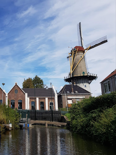 Fluisterboot de IJsvogel