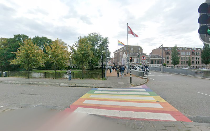 Fluwelensingel 312