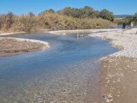 Foce del fiume Irminio Travel Forum Reviews