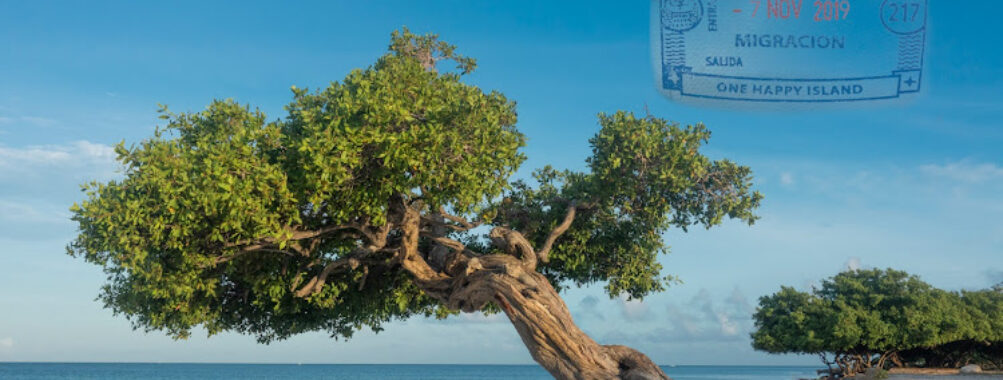 Fofoti Tree Travel Forum Reviews