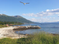 Folkeparken Travel Forum Reviews