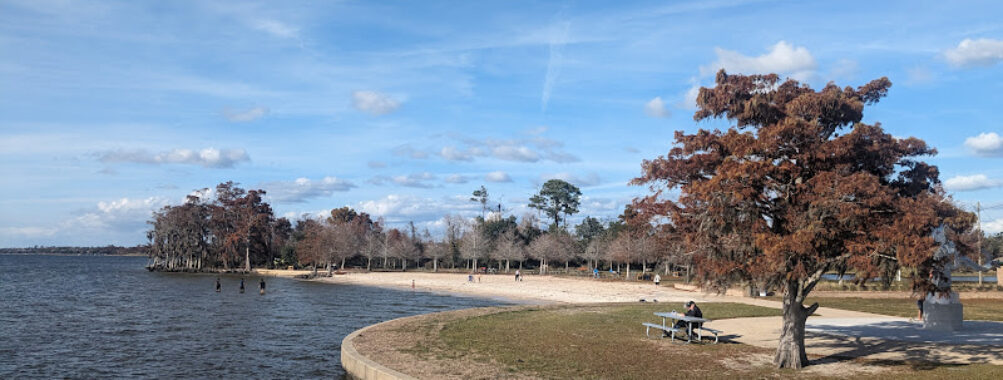 Fontainebleau Beach Travel Forum Reviews