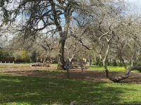 Foothill Community Center Travel Forum Reviews