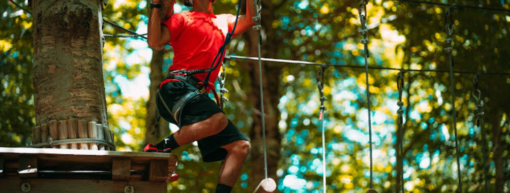 Footprints in the Park Travel Forum Reviews