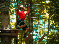 Footprints in the Park Travel Forum Reviews