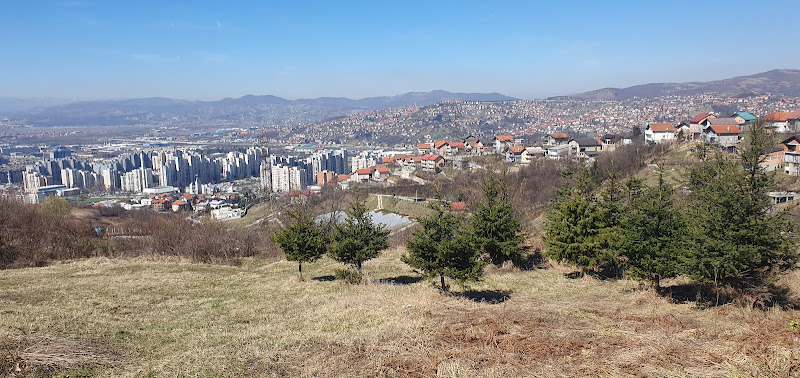 Forest Park Mojmilo