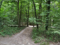 Forêt Régionale de Bondy Travel Forum Reviews