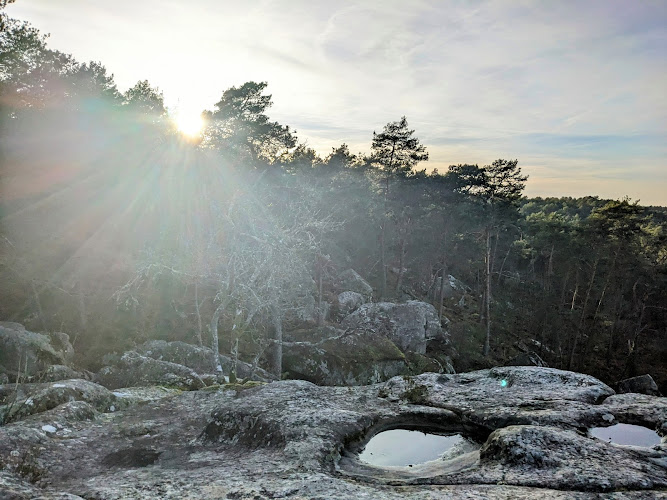 Forêt de Fontainebleau