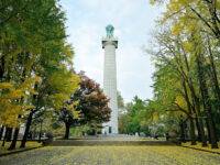 Fort Greene Park Travel Forum Reviews