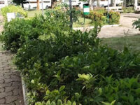 Fort français Garden Travel Forum Reviews