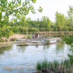 FortWhyte Alive