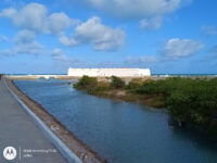 Fortaleza dos Reis Magos Travel Forum Reviews