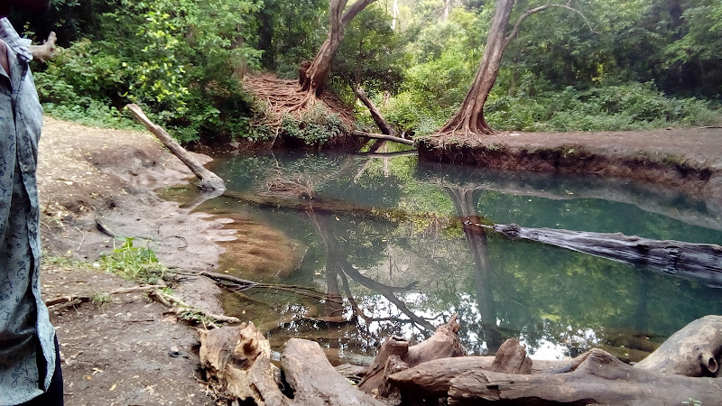 Forty Springs
