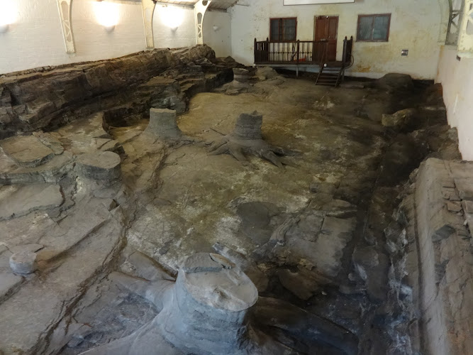 Fossil Grove