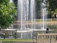 Fountains Travel Forum Reviews
