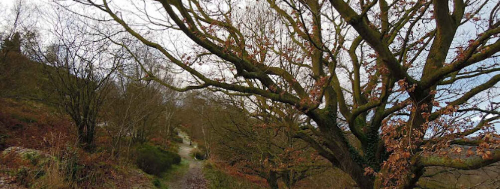Fox Hagg Nature Reserve Travel Forum Reviews