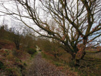 Fox Hagg Nature Reserve Travel Forum Reviews