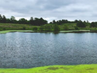 Fox Ridge Nature Park Travel Forum Reviews