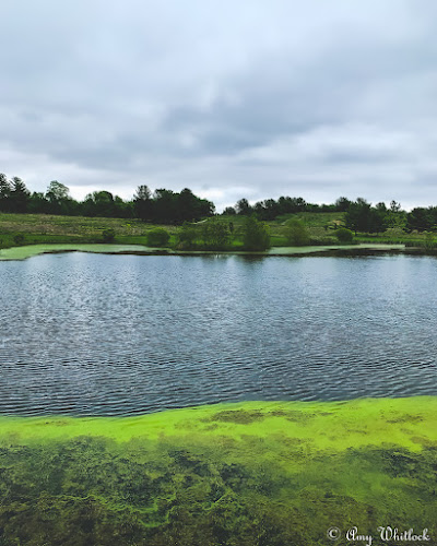 Fox Ridge Nature Park