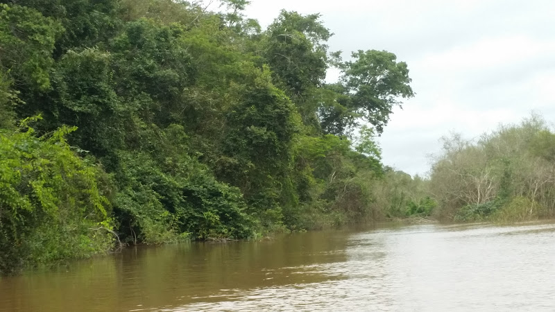 Foz do Rio Ji-Paraná