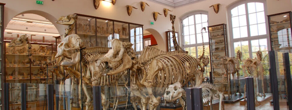 Fragonard Museum Travel Forum Reviews